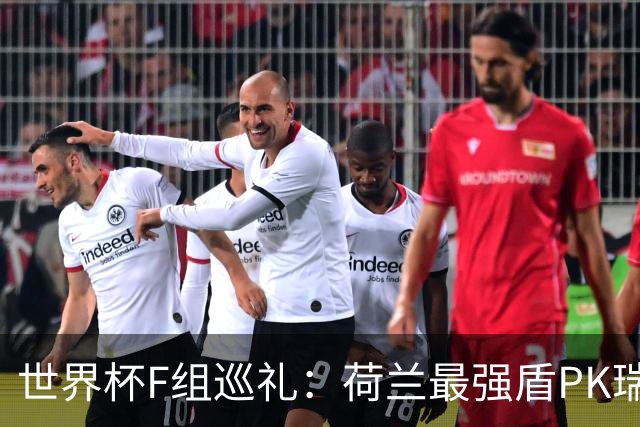 世界杯F组巡礼：荷兰最强盾PK瑞典犀利刀 日本短板明显